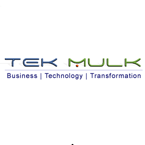 Tekmulk Business Website
